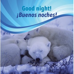 Good night! / ¡Buenas noches!