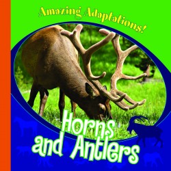 Horns and Antlers