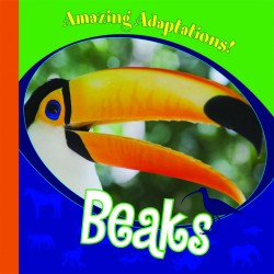 Beaks