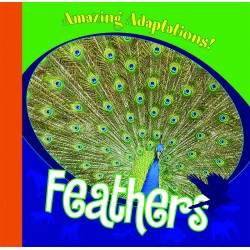 Feathers