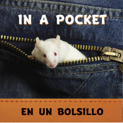 In a Pocket / En un bolsillo