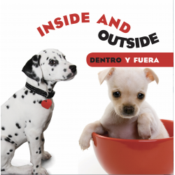 Inside and Outside/ Dentro y fuera