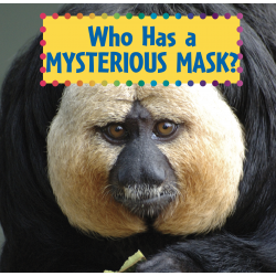 Who Has a Mysterious Mask?