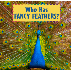Who Has Fancy Feathers?