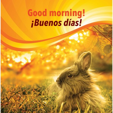 Good morning! / ¡Buenos días!