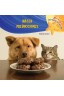 Hacer predicciones