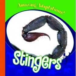 Stingers