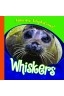 Whiskers