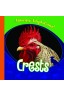 Crests