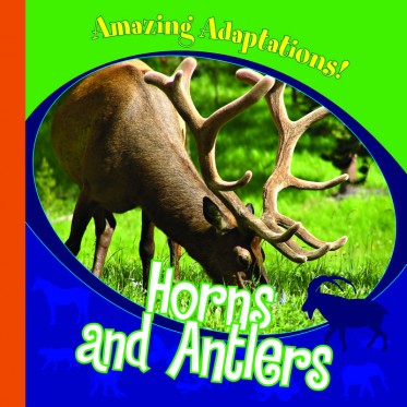 Horns and Antlers