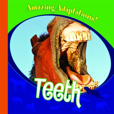 Teeth