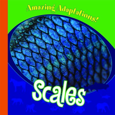 Scales