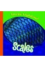 Scales