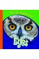 Ojos