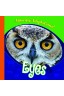 Eyes