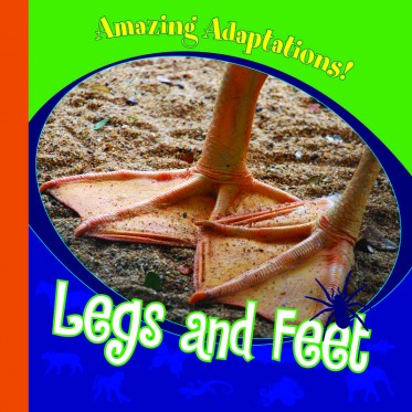 Legs and Feet