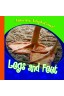 Legs and Feet