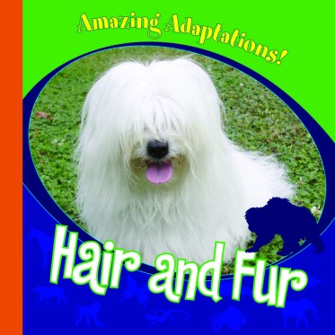 Hair and Fur