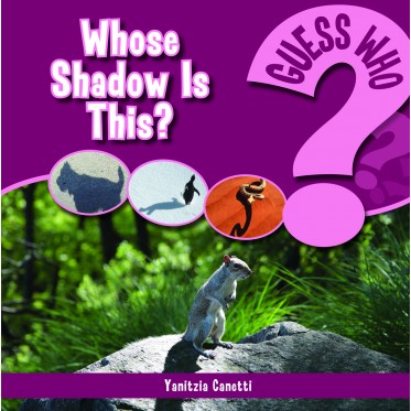 Whose Shadow Is This?