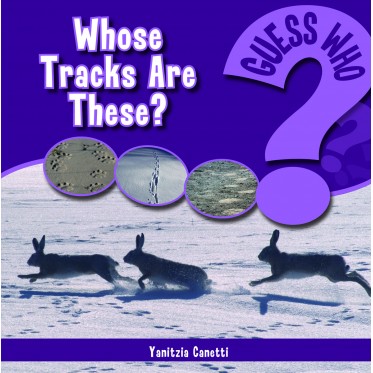 Whose Tracks Are These?