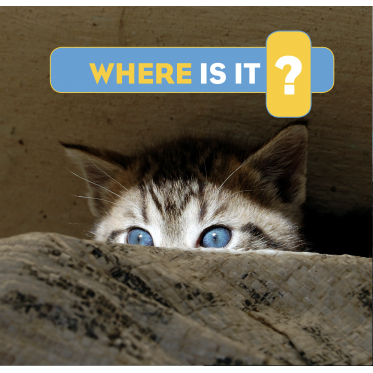 Where Is It?