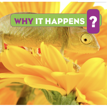 Why It Happens?