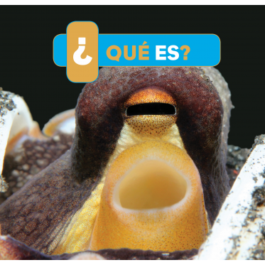 ¿Qué es?