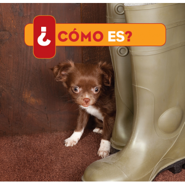 ¿Cómo es?