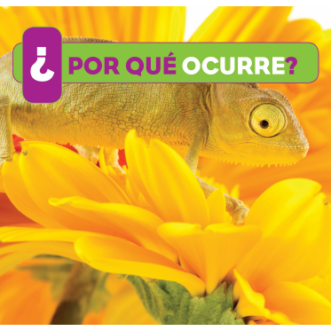 ¿Por qué ocurre?