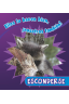 Esconderse