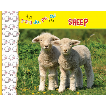 1-2-3  do, re, me  SHEEP