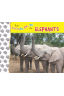 1-2-3 do, re, mi ELEPHANTS