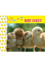 1-2-3 do, re, me BABY CHICKS