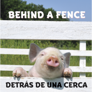 Behind a Fence / Detrás de una cerca
