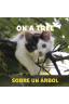 On a Tree / Sobre un árbol