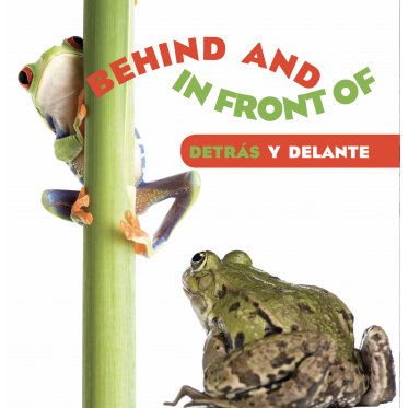 Behind and In Front of / Detrás y delante