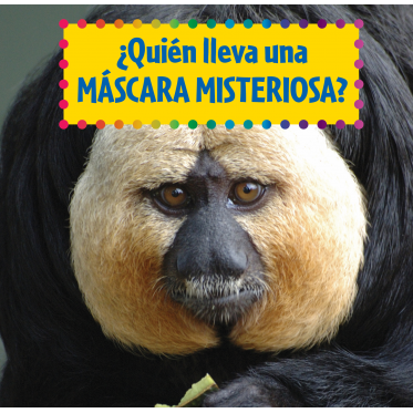 ¿Quién lleva una máscara misteriosa?
