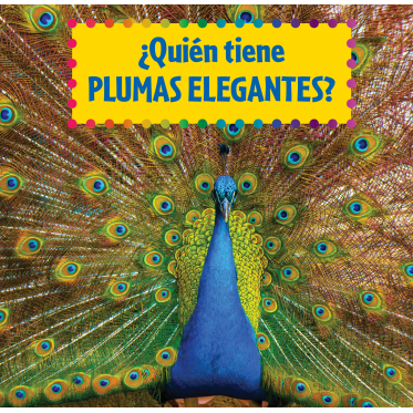 ¿Quién tiene plumas elegantes?