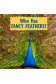 Who Has Fancy Feathers?