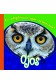Ojos