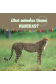 ¿Qué animales tienen MANCHAS?