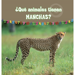 ¿Qué animales tienen MANCHAS?