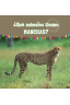 ¿Qué animales tienen MANCHAS?