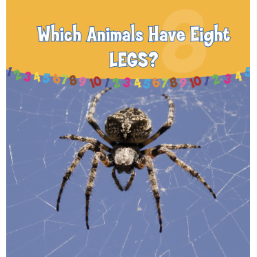 Which Animals Have Eight Legs?