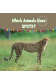Which Animals Have  Spots?
