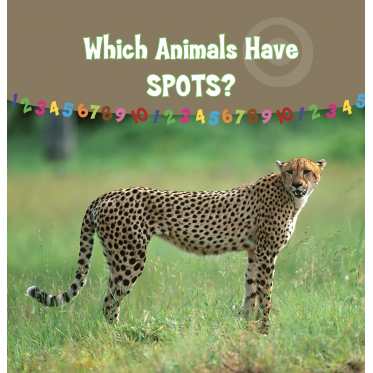 Which Animals Have  Spots?
