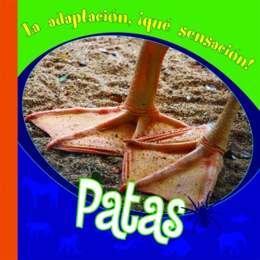 Patas