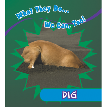 Dig