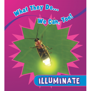 Illuminate