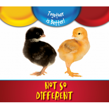 Not So Different